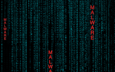 Cyber Threats on the Rise: What Businesses Should Know About Viruses, Phishing and Online Fraud